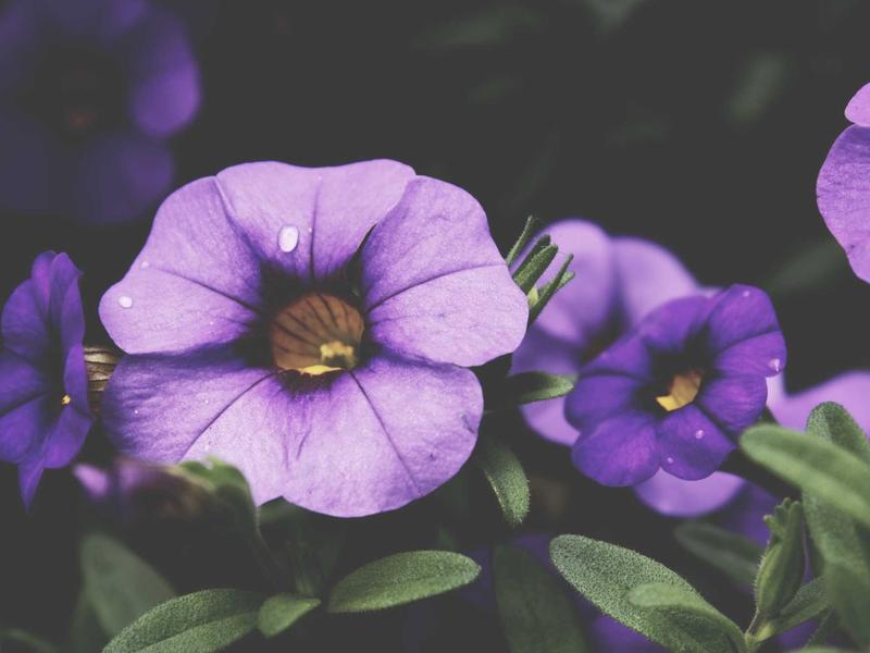 sudoku timer mode screenshot 4